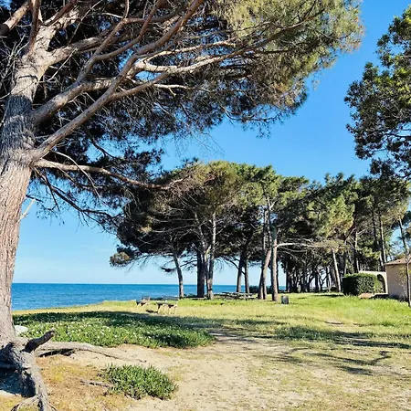 Casa Nina * Santa-Maria-Poggio (Corsica)